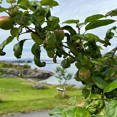 Nordic Retreat Apartamento