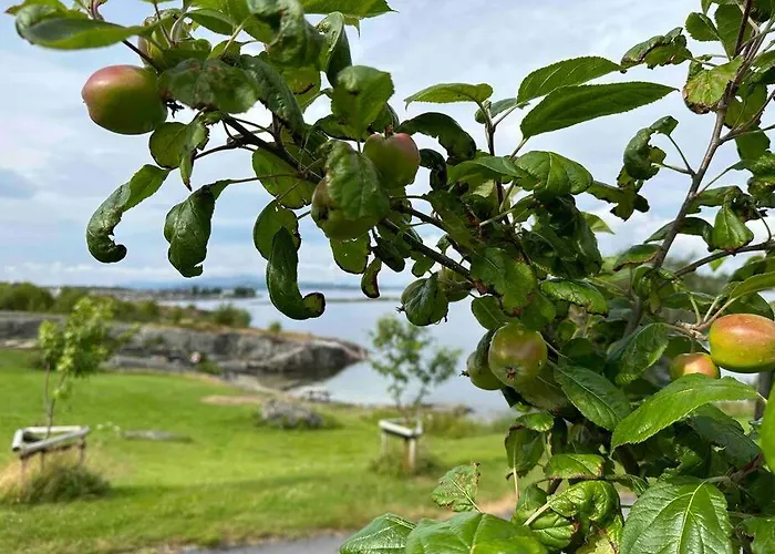 Nordic Retreat Apartament